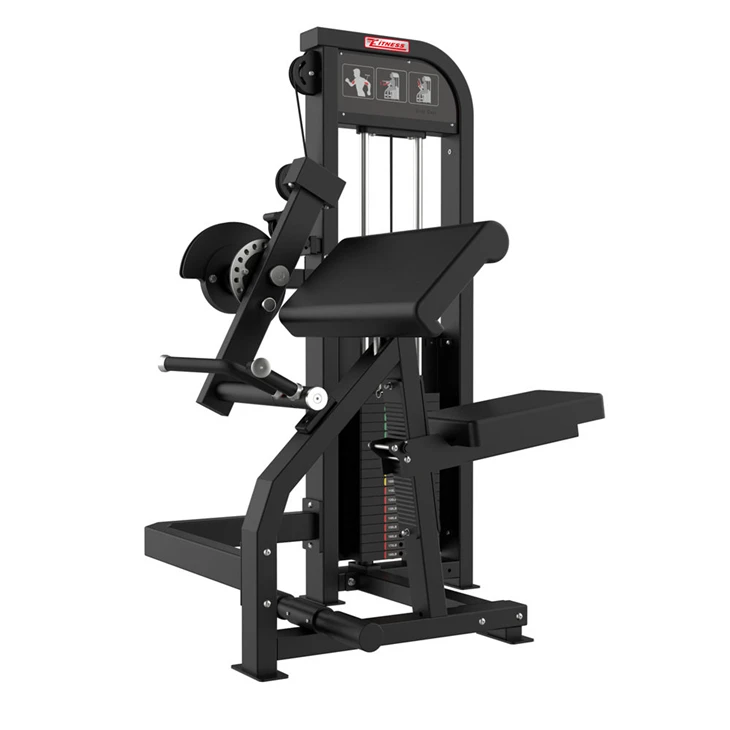 Biceps & Triceps Strength Machine factory