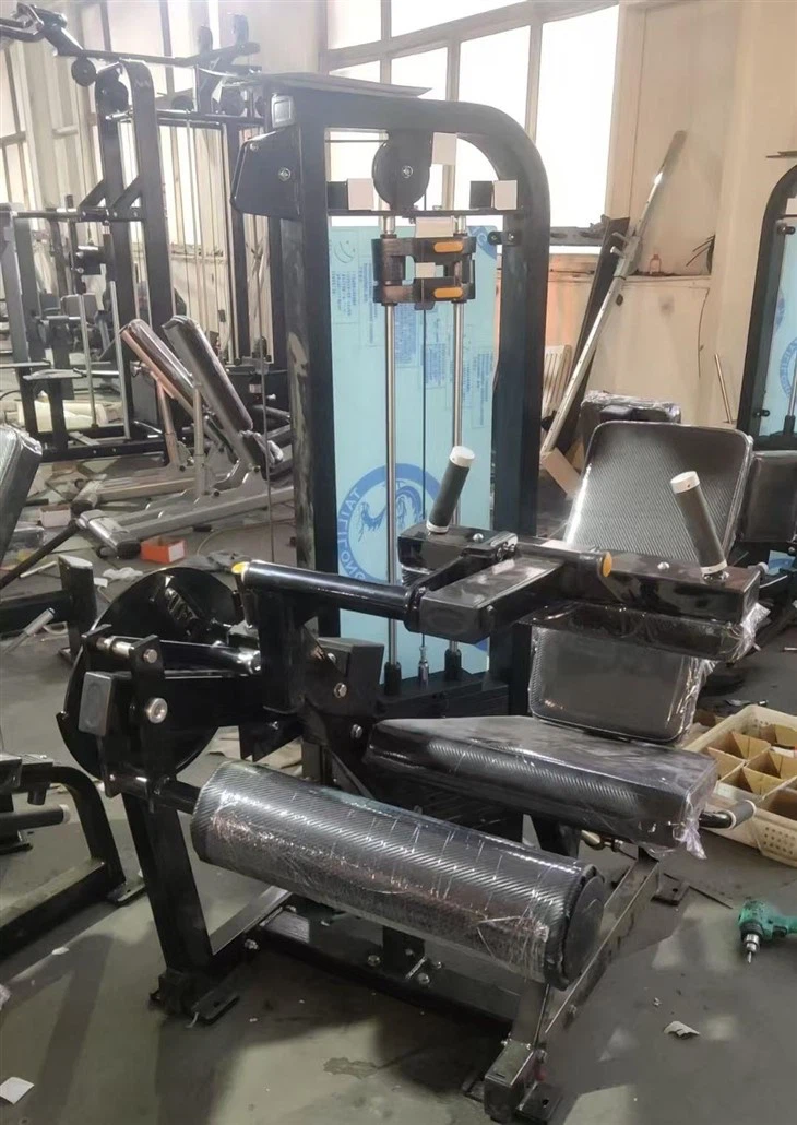 Seated Leg Curl suppliers