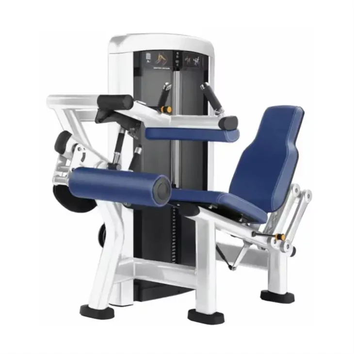 Seated Leg Curl Machine: Isolated Training For Posterior Thigh Muscles price