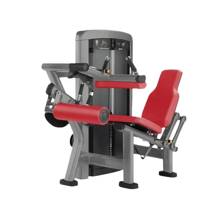 Seated Leg Curl Machine: Isolated Training For Posterior Thigh Muscles high quality