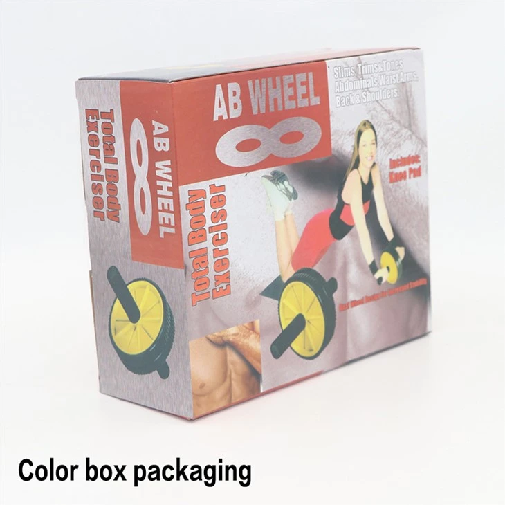 Two-color Sponge Double-wheel Ab Roller best